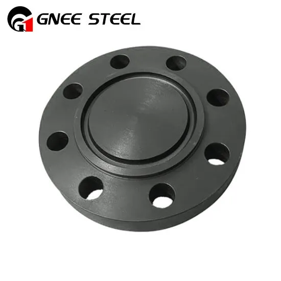 সুপার ডুপ্লেক্স স্টিল রিং টাইপ জয়েন্ট ফ্ল্যাঞ্জ